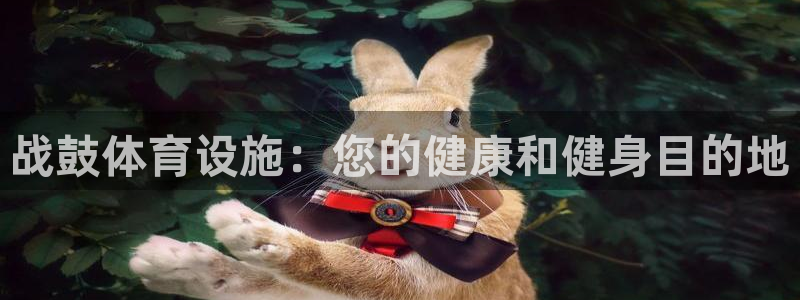 意昂3五金厂：战鼓体育设施：您的健康和健身目的地