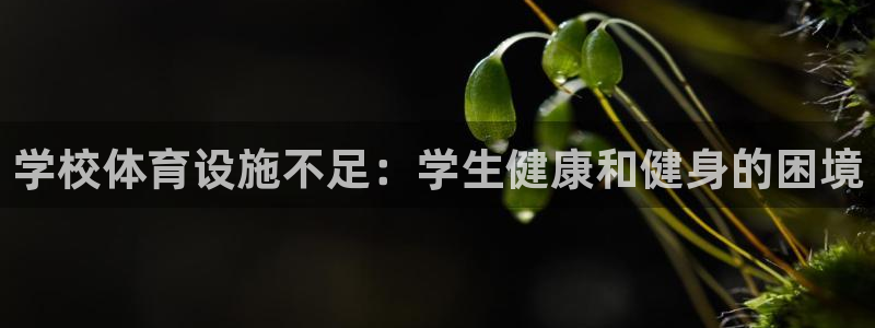 意昂3娱乐网站：学校体育设施不足：学生健康和健身的困