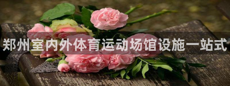 意昂3集团：郑州室内外体育运动场馆设施一站式