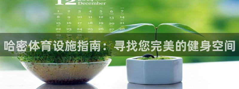 意昂3娱乐下载：哈密体育设施指南：寻找您完美的健身空