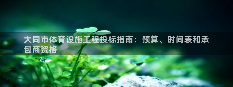 意昂体育3平台注册流程图：大同市体育设施工程投标指南