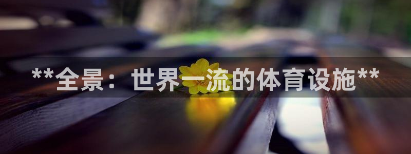 意昂3集团E.ON：**全景：世界一流的体育设施**