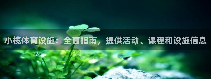 意昂3科技：小榄体育设施：全面指南，提供活动、课程和