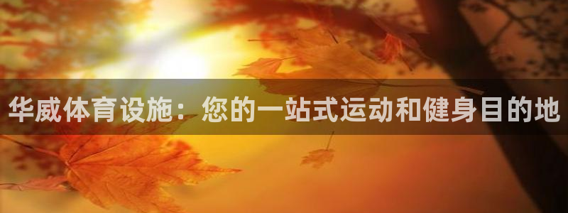 意昂体育3招商电话：华威体育设施：您的一站式运动和健