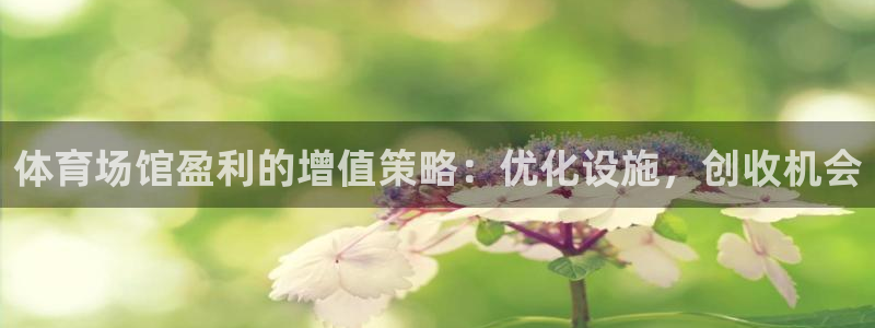 意昂3集团logo：体育场馆盈利的增值策略：优化设施
