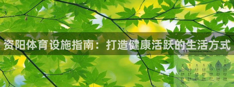 意昂体育3招商电话号码查询：资阳体育设施指南：打造健