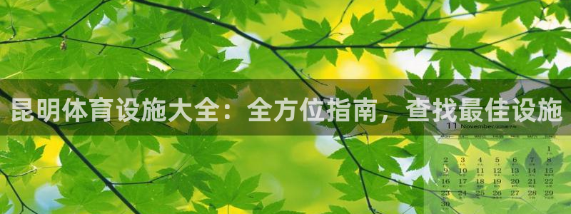 意昂体育3娱乐：昆明体育设施大全：全方位指南，查找最