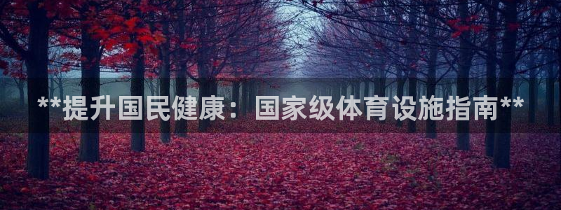意昂3代理：**提升国民健康：国家级体育设施指南**