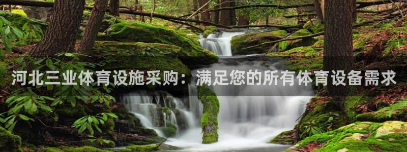 意昂3科技：河北三业体育设施采购：满足您的所有体育设