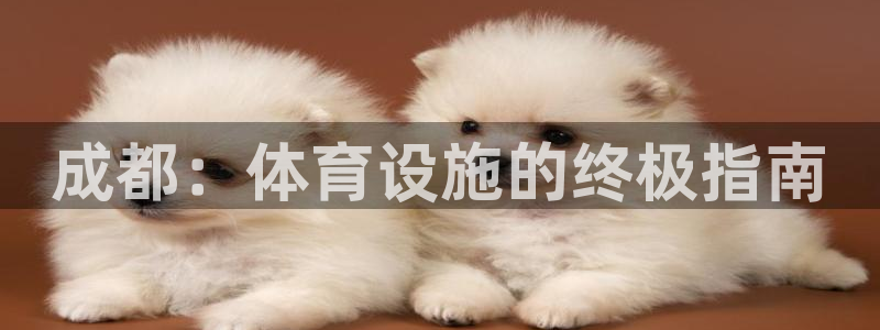 意昂体育3平台：成都：体育设施的终极指南