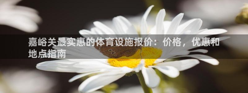 意昂3娱乐40996：嘉峪关最实惠的体育设施报价：价