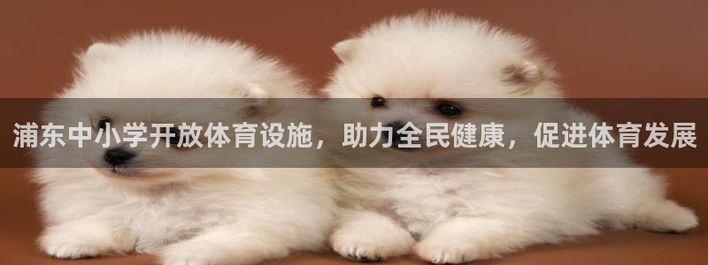 意昂体育3招商电话地址是多少：浦东中小学开放体育设施