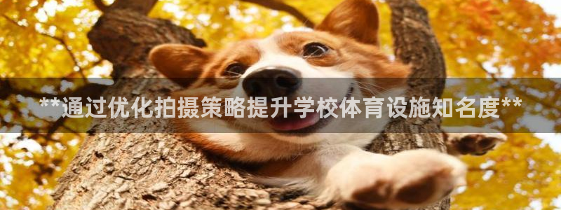 意昂3娱乐40996：**通过优化拍摄策略提升学校体
