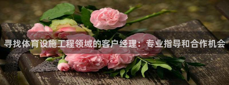 意昂体育3招商电话是多少：寻找体育设施工程领域的客户