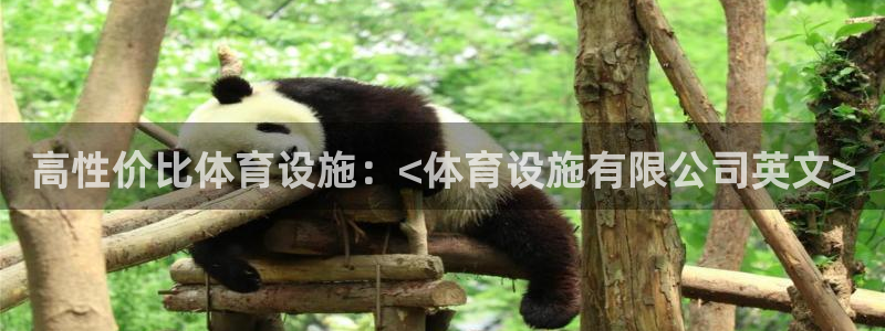 意昂3娱乐首页官网下载：高性价比体育设施：<体育设施