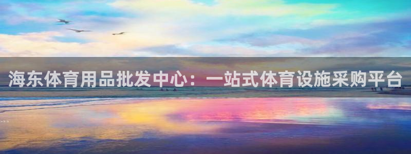 意昂3集团：海东体育用品批发中心：一站式体育设施采购