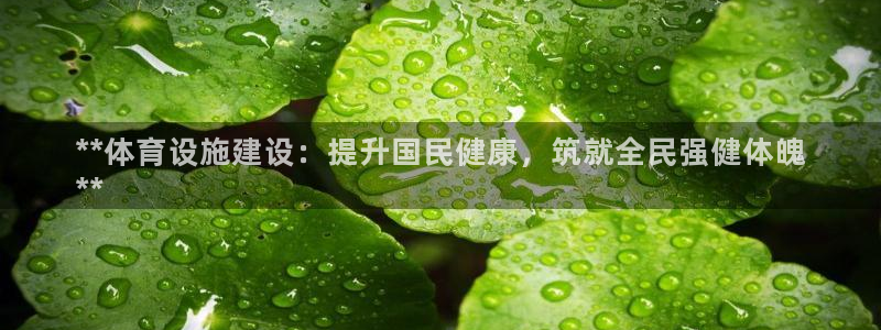 意昂体育3平台假的吗是真的吗：**体育设施建设：提升