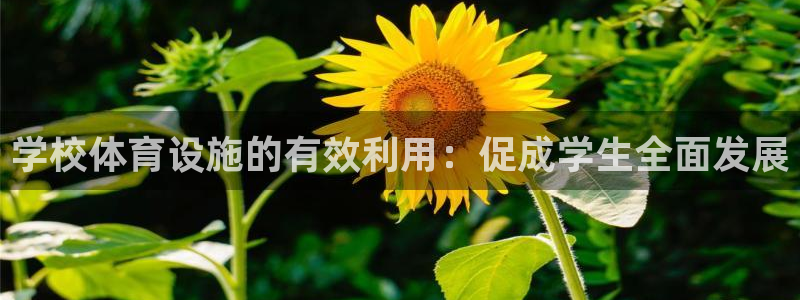 意昂体育3招商电话号码查询是多少：学校体育设施的有效