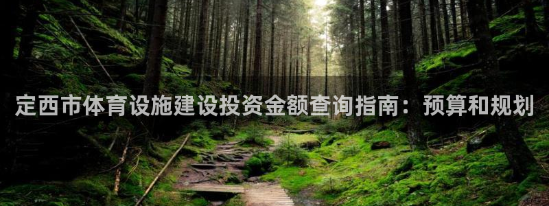 海南意昂体育3发展怎么样：定西市体育设施建设投资金额