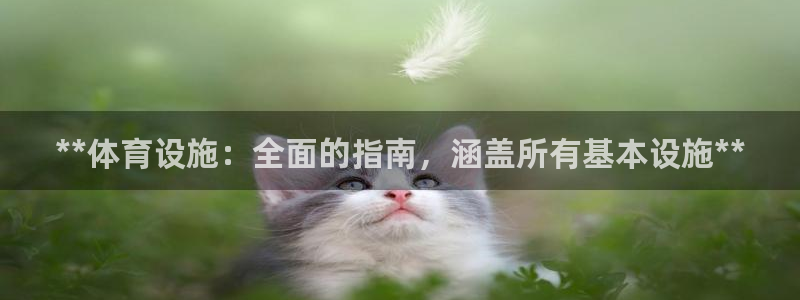 意昂体育3招商电话地址是多少：**体育设施：全面的指
