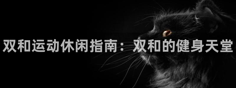 意昂3娱乐代理怎么样：双和运动休闲指南：双和的健身天