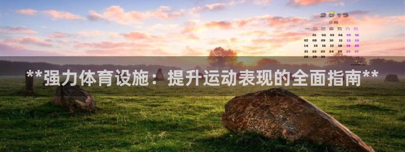 意昂3官网：**强力体育设施：提升运动表现的全面指南