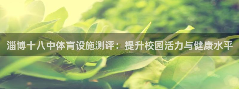 意昂3集团官网首页：淄博十八中体育设施测评：提升校园