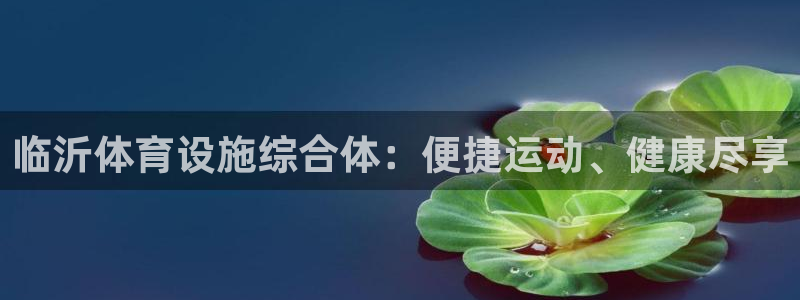 意昂体育3平台假的吗是真的吗吗：临沂体育设施综合体：