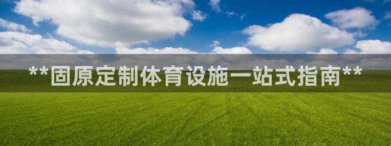 意昂3集团简介：**固原定制体育设施一站式指南**
