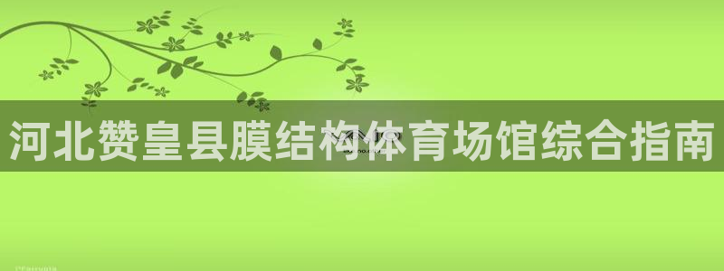 意昂体育3：河北赞皇县膜结构体育场馆综合指南