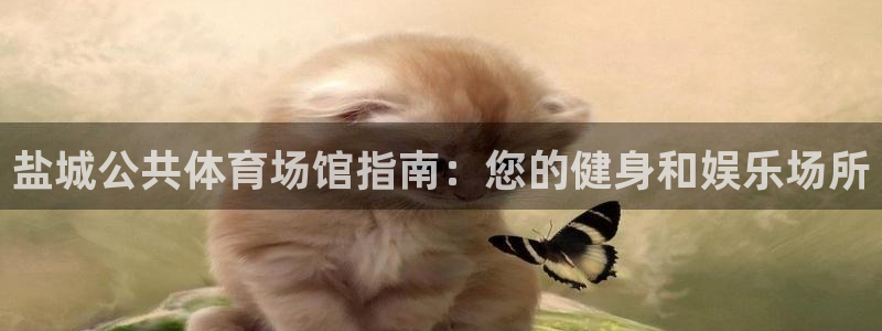 意昂体育3平台注册流程图：盐城公共体育场馆指南：您的