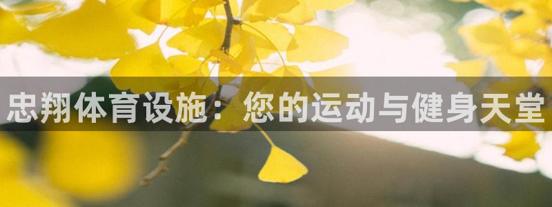 意昂3集团logo：忠翔体育设施：您的运动与健身天堂