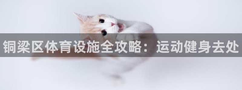 意昂体育3平台注册要钱吗是真的吗：铜梁区体育设施全攻