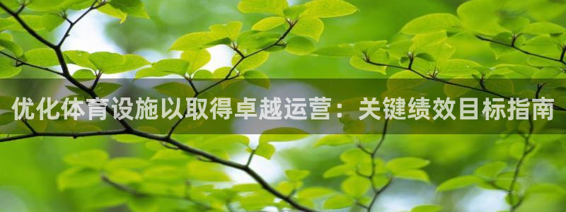 意昂3科技：优化体育设施以取得卓越运营：关键绩效目标