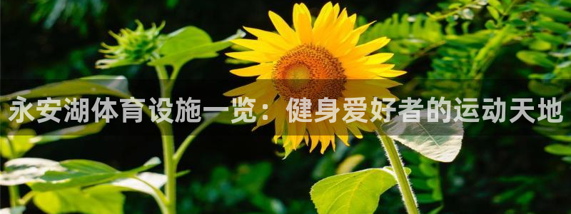意昂3神州：永安湖体育设施一览：健身爱好者的运动天地