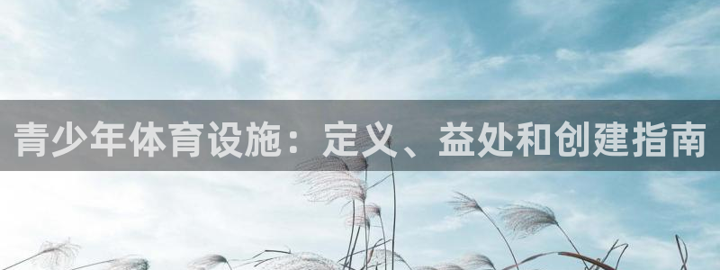 意昂3官网：青少年体育设施：定义、益处和创建指南