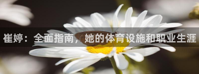 意昂体育3注册：崔婷：全面指南，她的体育设施和职业生