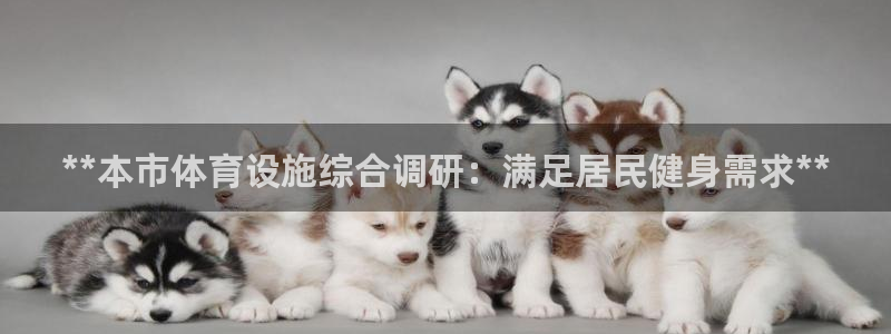 意昂3集团官网首页网址：**本市体育设施综合调研：满