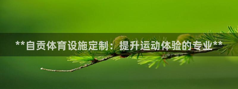 德国意昂3集团：**自贡体育设施定制：提升运动体验的