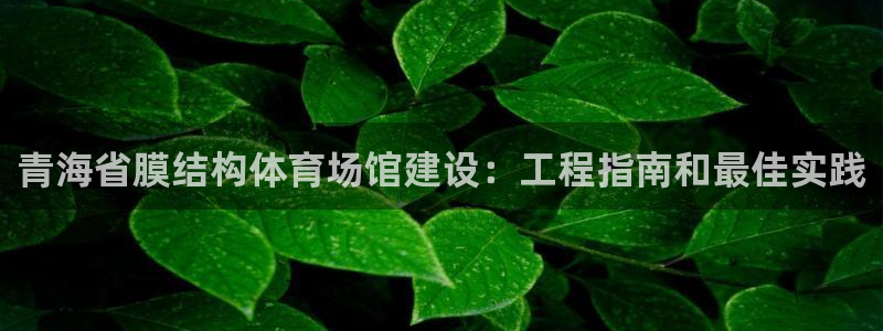 意昂3娱乐下载：青海省膜结构体育场馆建设：工程指南和