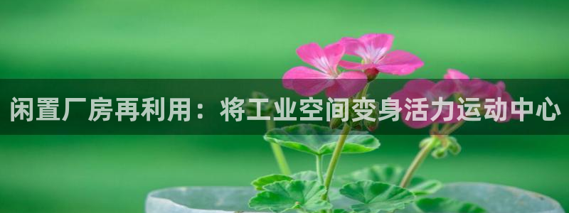 意昂体育3招商电话号码是多少号：闲置厂房再利用：将工