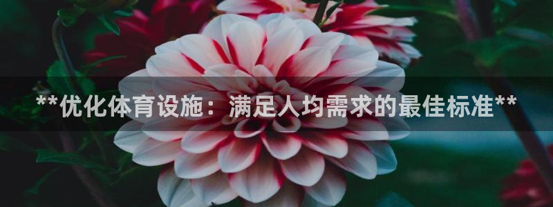 意昂体育3开户：**优化体育设施：满足人均需求的最佳