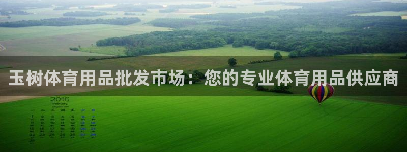 意昂3官网：玉树体育用品批发市场：您的专业体育用品供