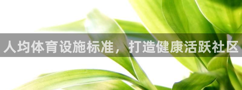 意昂3娱乐是那个系列的台子：人均体育设施标准，打造健