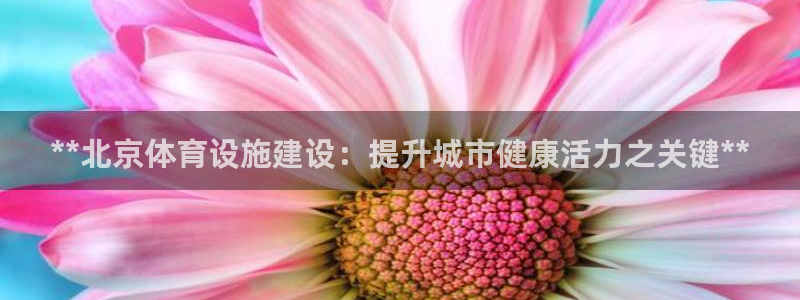 意昂体育3招商电话：**北京体育设施建设：提升城市健