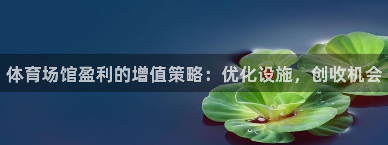 意昂3集团E.ON：体育场馆盈利的增值策略：优化设施