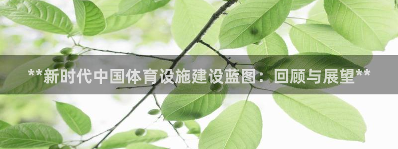意昂3集团E.ON：**新时代中国体育设施建设蓝图：