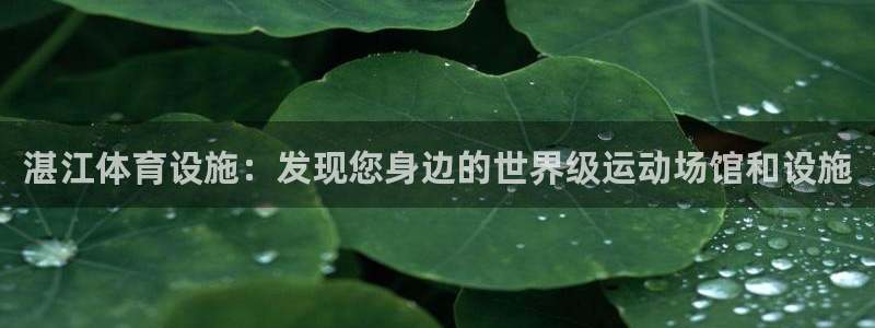 意昂3娱乐下载：湛江体育设施：发现您身边的世界级运动