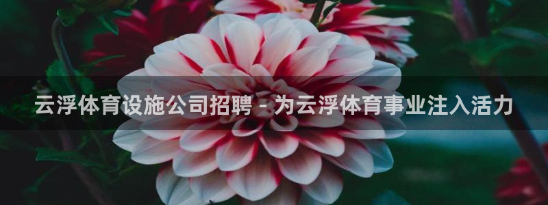 意昂体育3招商电话是多少啊：云浮体育设施公司招聘 -