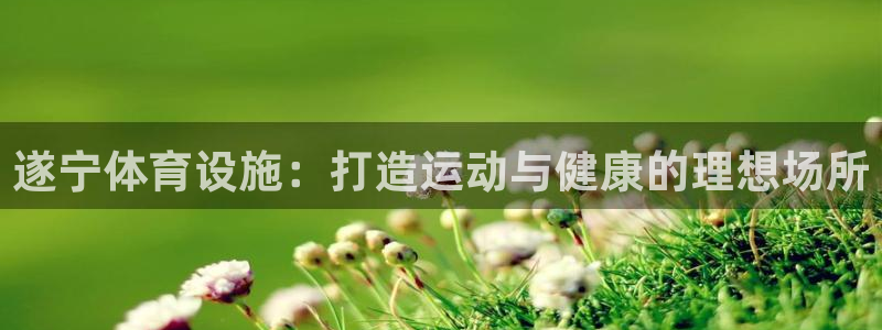 德国意昂3集团：遂宁体育设施：打造运动与健康的理想场